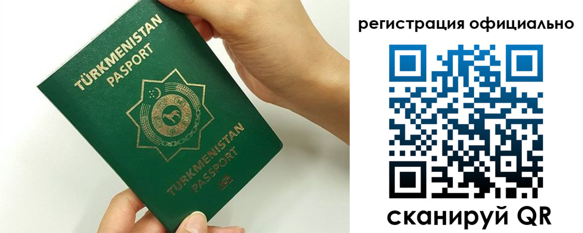 прописка поиск в Котовске